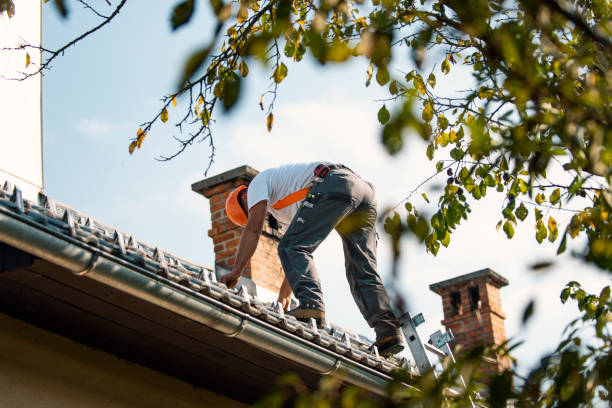 Best Roof Waterproofing Services  in Houghton, NY