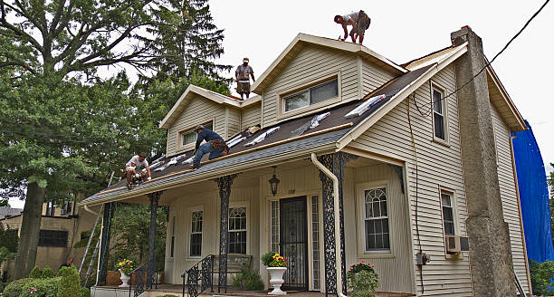 Best Shingle Roofing Installation  in Houghton, NY